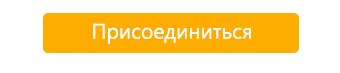 Почему Кивитакси — маст-хэв сервис для турагента и его туриста