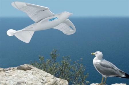 Фото - Festo SmartBird — механическая чайка