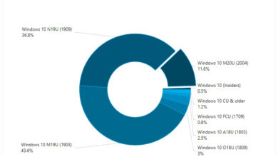 Фото - Майское обновление Windows 10 (2004) проникло только в 11 % компьютеров с «десяткой»