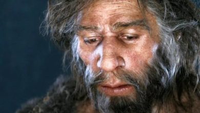 Фото - Почему наши предки чувствовали боль сильнее, чем мы?