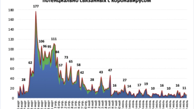 Фото - В Рунете насчитали свыше 4,8 тысяч доменов, связанных с коронавирусом