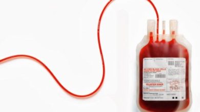 Фото - Найдены микроорганизмы, которые помогут создать универсальную донорскую кровь