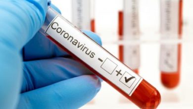 Фото - Положительные тексты на коронавирус могут быть ошибочными