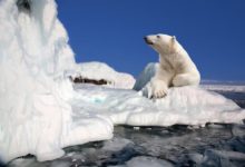 Фото - 20 фактов о Северном полюсе, которые знают не все