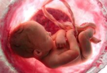 Фото - Прорыв в лечении бесплодия: учёные вырастили эмбрион без спермы и яйцеклетки