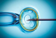 Фото - Искусственный интеллект может выбирать эмбрионы для ЭКО