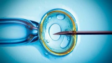 Фото - Искусственный интеллект может выбирать эмбрионы для ЭКО