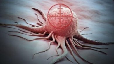 Фото - Учёные нашли безопасный для человека способ убить раковую опухоль