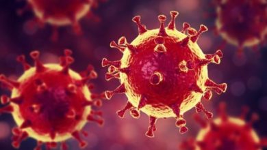 Фото - В чем заключается «суперспособность» коронавируса