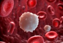 Фото - На риск преждевременной смерти указывает число лимфоцитов в анализе крови