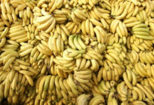 Фото - Банан стал самым доступным фруктом в Украине
