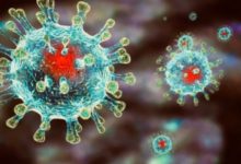 Фото - Вирусолог: «самый страшный сценарий» второй волны коронавируса