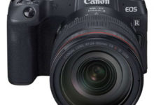 Фото - Canon, беззеркальные камеры, объективы, EOS RP, RF 28-70mm f/2L USM,  RF 50mm f/1.2L USM, RF 24-105mm f/4 USM L IS, EF 600mm f/4L IS III USM