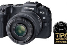 Фото - Canon? беззеркальные камеры, объективы, TIPA2019, Canon EOS RP, EF400mm f/2.8L IS III USM, EF-M32mm f/1.4 STM, RF50mm F1.2 L USM