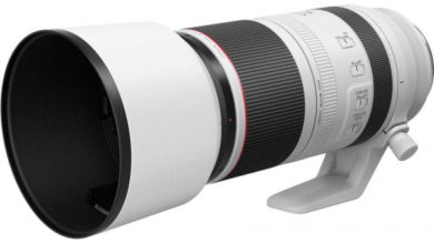 Фото - Canon, объективы, система EOS R, объективы с байонетом RF, RF 800 mm F11 IS STM, RF 600 mm F11 IS STM, RF 85 mm F2 Macro IS STM, RF 100-500mm F4.5-7.1L IS USM