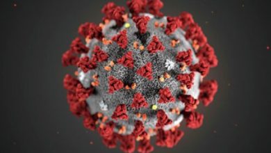 Фото - Российские ученые рассказали о создании вакцины от коронавируса 