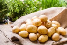 Фото - Чем полезен картофель и при каких болезнях он поможет
