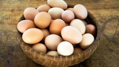 Фото - Чем полезны яйца и сколько их нужно для здоровья