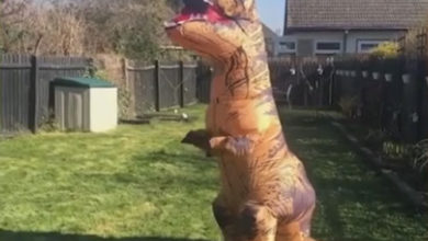 Фото - Чудачка использует полученный в подарок костюм динозавра, чтобы подбодрить соседей