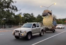 Фото - Чудак катается по улицам в компании гигантской хихикающей птицы