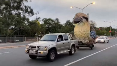 Фото - Чудак катается по улицам в компании гигантской хихикающей птицы