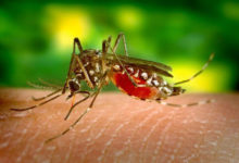 Фото - Чудесный дар мужчины позволяет ему убивать комаров кишечными газами
