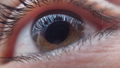 Фото - Возможно ли лечение катаракты без операции?