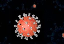 Фото - Медики рассказали о скрытом пике эпидемии коронавируса в России