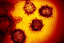 Фото - Доказана опасность бессимптомных носителей коронавируса