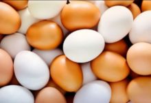 Фото - Доктор Мясников: сколько яиц можно съедать в день