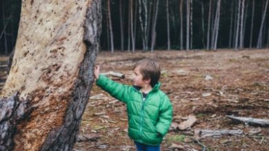 Фото - Дошкольникам и школьникам предлагают читать зеленые сказки