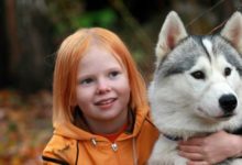Фото - Защититься от ранней шизофрении помогут собаки