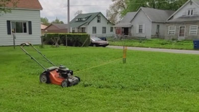 Фото - Газонокосилка на поводке самостоятельно стрижёт траву