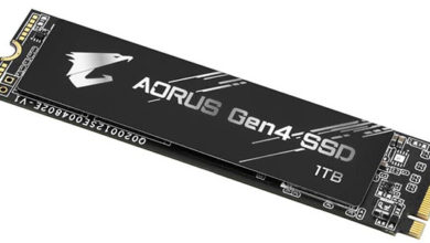 Фото - Gigabyte выпустит модификации SSD-накопителей Aorus NVMe Gen4 без радиатора