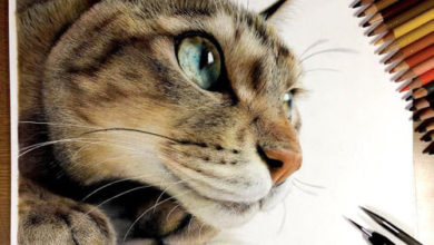 Фото - Гиперреалистичные нарисованные кошки выглядят как живые