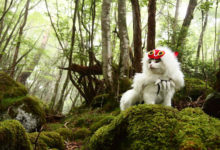 Фото - Хозяин одевает кошек в чудесные аниме-костюмы