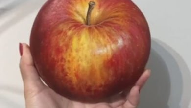 Фото - Художница показала людям яблоко, которое никак не получится съесть