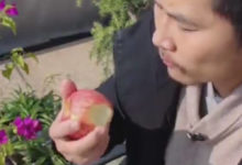 Фото - Художник не просто съел яблоко, а сделал из него скульптуру