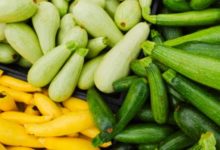 Фото - Идеальный овощ на все лето: чем полезен кабачок?