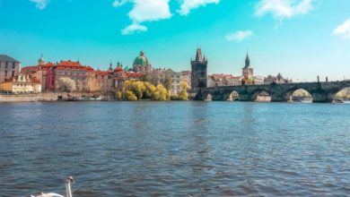 Фото - Иностранцам с просроченными визами или ВНЖ позволят остаться в Чехии до 17 июля