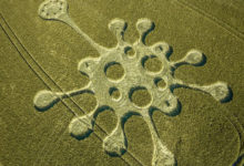 Фото - Ячменное поле украсилось рисунком, похожим на коронавирус