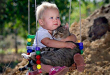 Фото - Как формировать у детей культуру обращения с животными