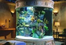 Фото - Как выбрать аквариум