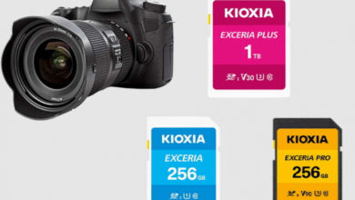 Фото - KIOXIA, карты памяти SD, карты памяти microSD,