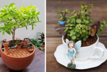 Фото - Крошечные сады в чайных чашках становятся прекрасным украшением интерьера
