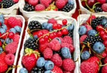 Фото - Летние ягоды могут сильно навредить здоровью