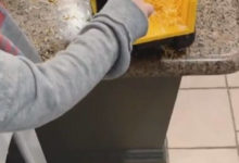 Фото - Малыш использовал спецтехнику, чтобы покормить братишку сыром с пола
