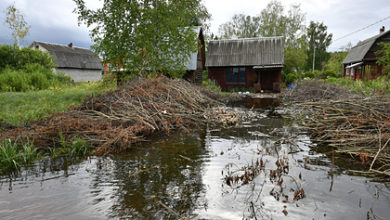 Фото - Многоквартирный дом в российском регионе смыло дождем