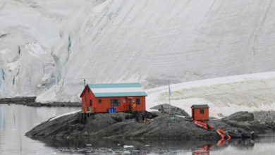 Фото - Мы и потоп: лёд Антарктики тает со скоростью 16 метров в год