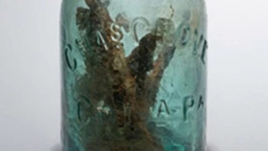 Фото - Найденная старая бутылка с гвоздями служила для защиты от злых чар